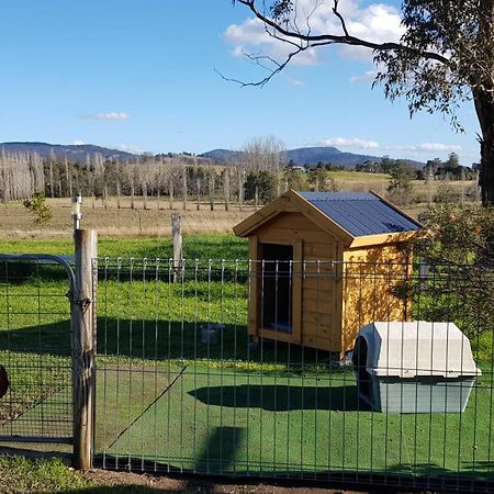 The Wattle Lodge Glendon Brook Luaran gambar